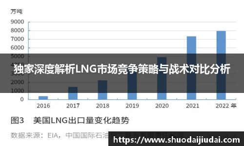 独家深度解析LNG市场竞争策略与战术对比分析